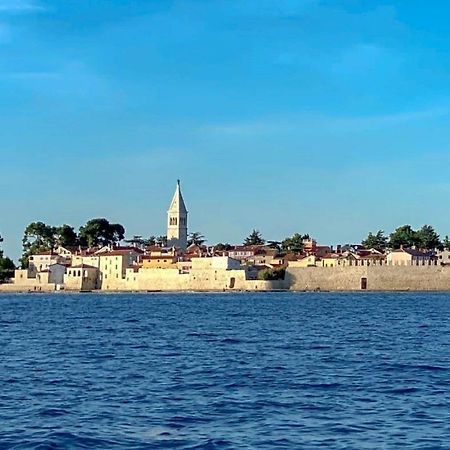 The Green House - 20M From The Beach Novigrad  Luaran gambar