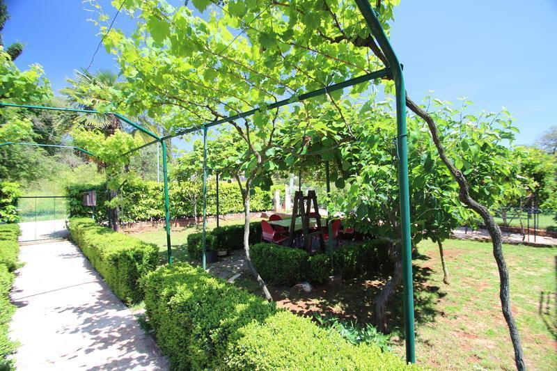 The Green House - 20M From The Beach Novigrad  Bilik gambar